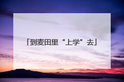到麦田里“上学”去