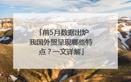 前5月数据出炉 我国外贸呈现哪些特点？一文详解