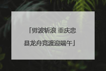 劈波斩浪 重庆忠县龙舟竞渡迎端午