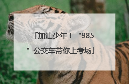 加油少年！“985”公交车带你上考场