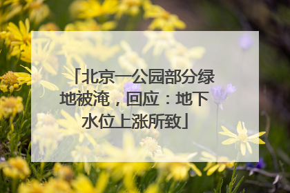 北京一公园部分绿地被淹，回应：地下水位上涨所致