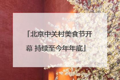 北京中关村美食节开幕 持续至今年年底