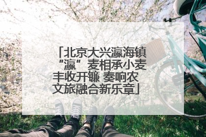 北京大兴瀛海镇“瀛”麦相承小麦丰收开镰 奏响农文旅融合新乐章