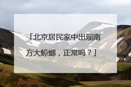 北京居民家中出现南方大蟑螂，正常吗？