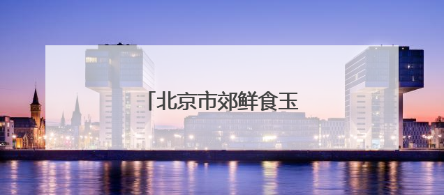 北京市郊鲜食玉米抢“鲜”上市