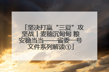 坚决打赢“三夏”攻坚战丨麦穗沉甸甸 粮安稳当当——省委一号文件系列解读①