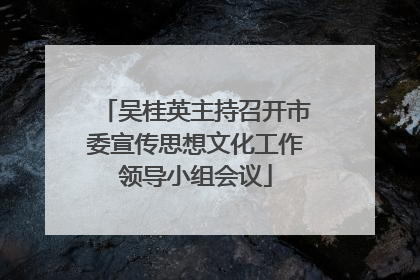 吴桂英主持召开市委宣传思想文化工作领导小组会议
