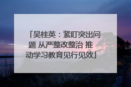 吴桂英：紧盯突出问题 从严整改整治 推动学习教育见行见效