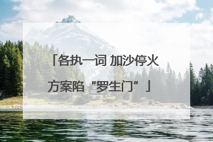 各执一词 加沙停火方案陷“罗生门”