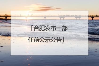 合肥发布干部任前公示公告