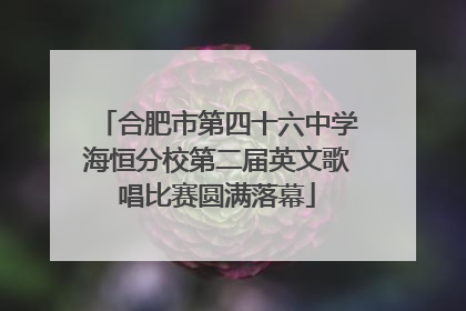 合肥市第四十六中学海恒分校第二届英文歌唱比赛圆满落幕