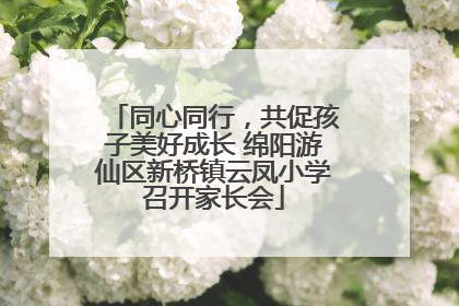 同心同行，共促孩子美好成长 绵阳游仙区新桥镇云凤小学召开家长会
