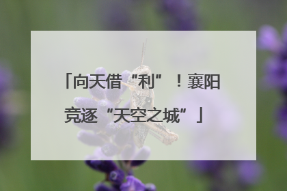 向天借“利”！襄阳竞逐“天空之城”