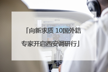 向新求质 10国外籍专家开启西安调研行