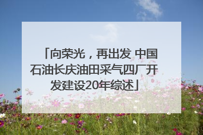 向荣光，再出发 中国石油长庆油田采气四厂开发建设20年综述