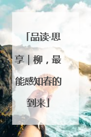 品读·思享｜柳，最能感知春的到来