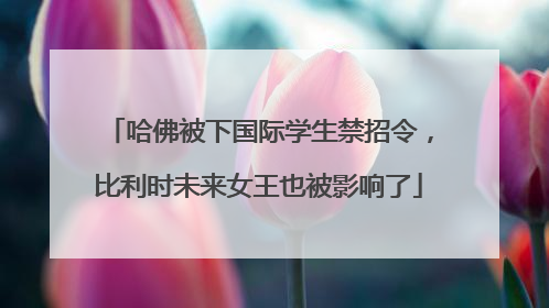 哈佛被下国际学生禁招令，比利时未来女王也被影响了