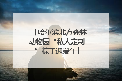 哈尔滨北方森林动物园“私人定制”粽子迎端午