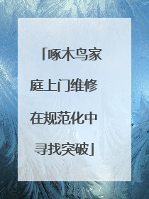 啄木鸟家庭上门维修在规范化中寻找突破