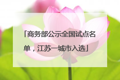 商务部公示全国试点名单，江苏一城市入选