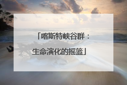喀斯特峡谷群：生命演化的摇篮