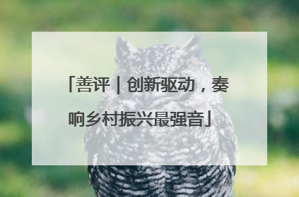 善评｜创新驱动，奏响乡村振兴最强音