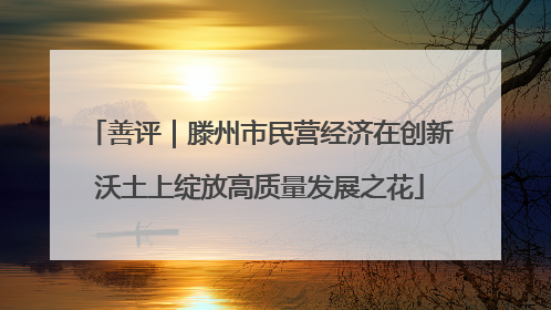 善评｜滕州市民营经济在创新沃土上绽放高质量发展之花