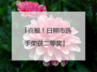喜报！日照市选手荣获二等奖