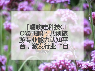 嗯噢哇科技CEO窦飞鹏：共创旅游专业能力认知平台，激发行业“自生长”力量