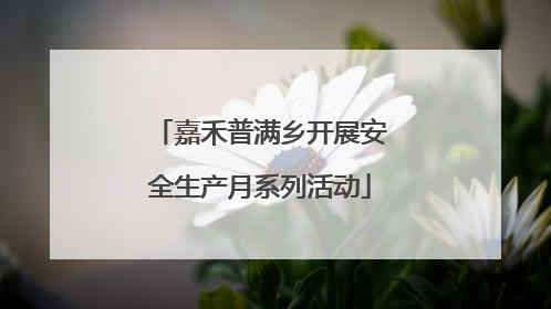 嘉禾普满乡开展安全生产月系列活动