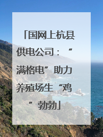国网上杭县供电公司：“满格电”助力养殖场生“鸡”勃勃