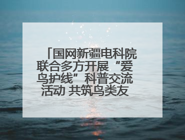 国网新疆电科院联合多方开展“爱鸟护线”科普交流活动 共筑鸟类友好城市