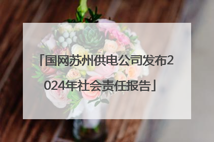 国网苏州供电公司发布2024年社会责任报告