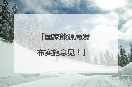 国家能源局发布实施意见！
