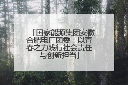 国家能源集团安徽合肥电厂团委：以青春之力践行社会责任与创新担当