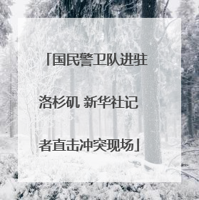 国民警卫队进驻洛杉矶 新华社记者直击冲突现场