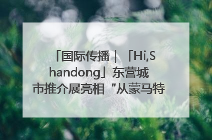 国际传播｜「Hi,Shandong」东营城市推介展亮相“从蒙马特到加里波第”文化节