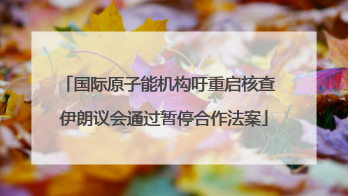 国际原子能机构吁重启核查 伊朗议会通过暂停合作法案