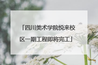 四川美术学院悦来校区一期工程即将完工