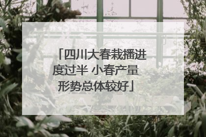 四川大春栽播进度过半 小春产量形势总体较好