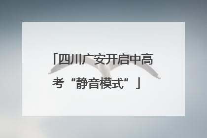 四川广安开启中高考“静音模式”