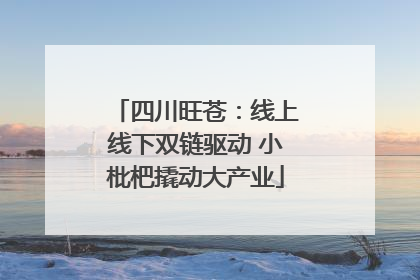 四川旺苍：线上线下双链驱动 小枇杷撬动大产业