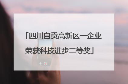 四川自贡高新区一企业荣获科技进步二等奖