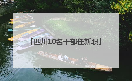 四川10名干部任新职