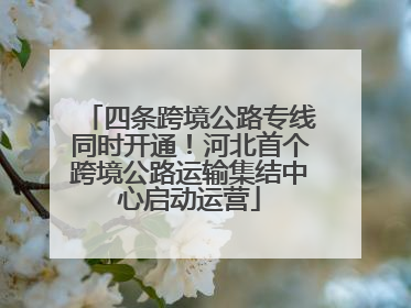 四条跨境公路专线同时开通！河北首个跨境公路运输集结中心启动运营