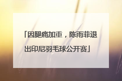 因腿痛加重，陈雨菲退出印尼羽毛球公开赛