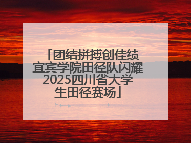 团结拼搏创佳绩 宜宾学院田径队闪耀2025四川省大学生田径赛场