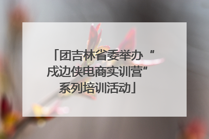 团吉林省委举办“戍边侠电商实训营”系列培训活动