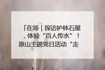 在场｜探访护林石屋，体验“百人传水”！原山主题党日活动“走新”更“走心”
