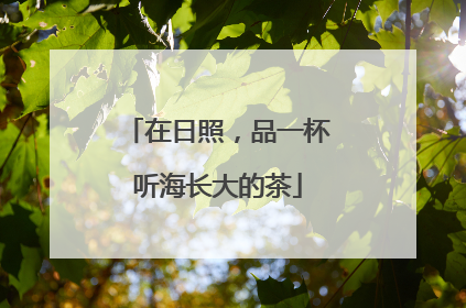 在日照，品一杯听海长大的茶
